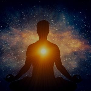 Meet your Posher, N/a